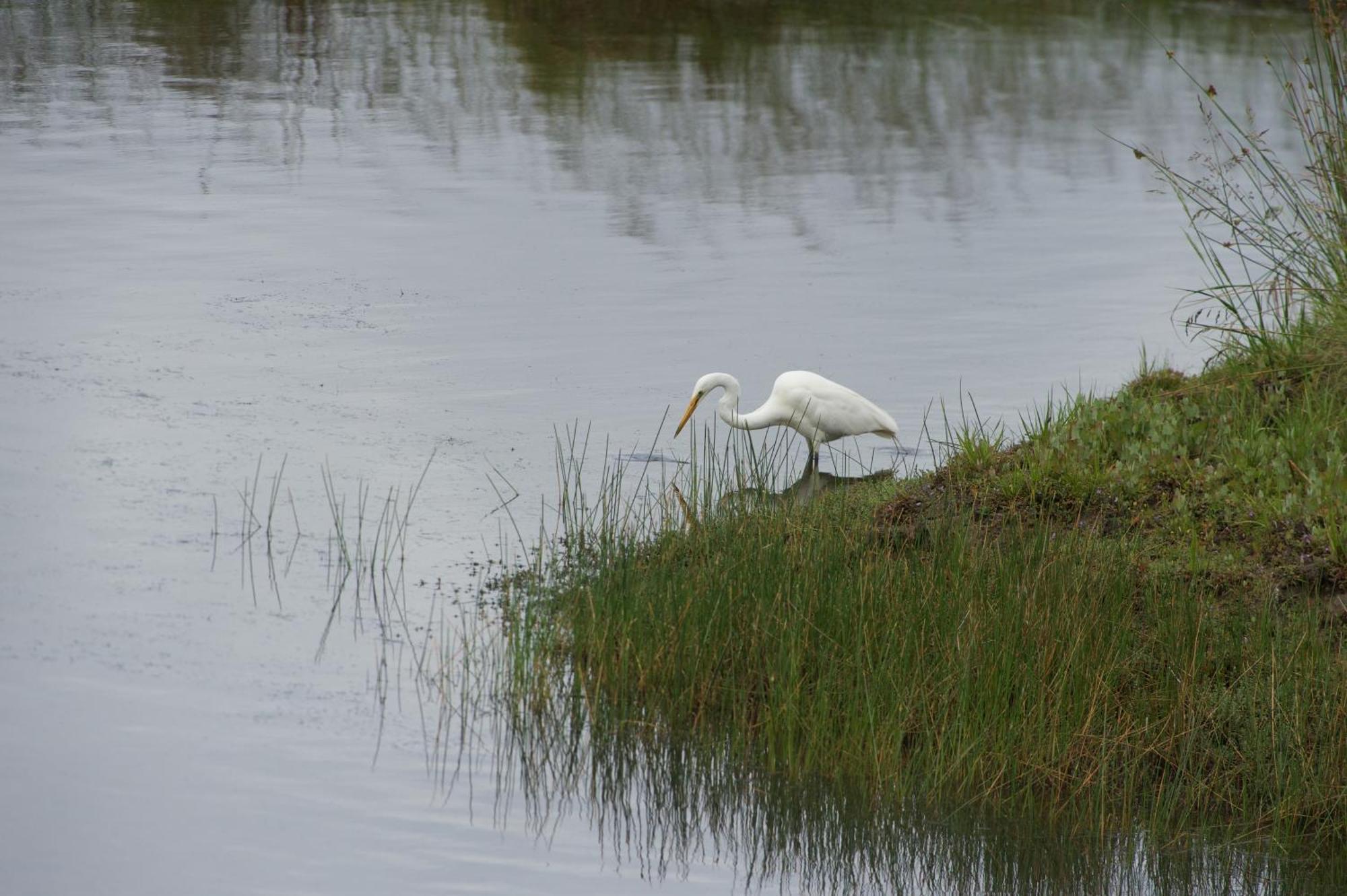 Pelican Point Sanctuary St Helens Exteriör bild
